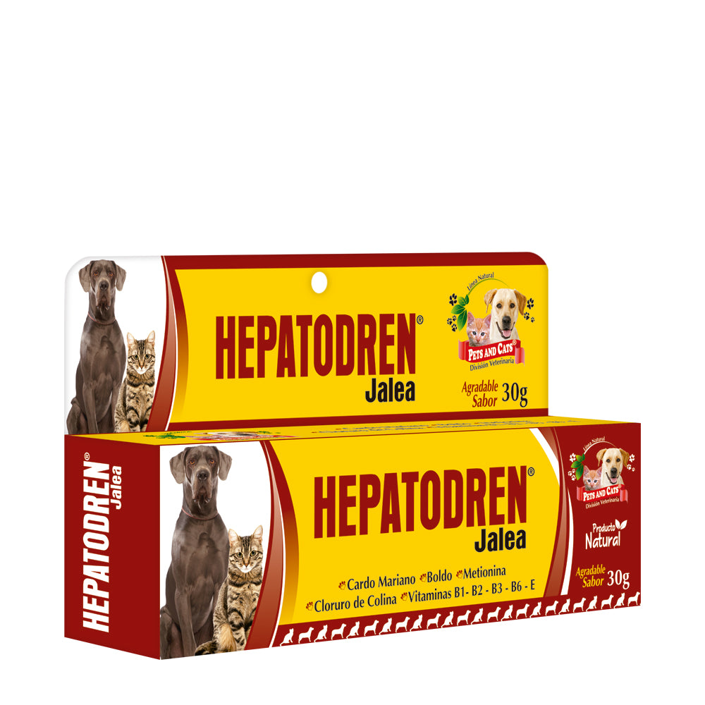 Hepatodren Jalea – Protector Hepático