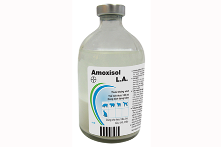 Amoxisol-La1.png