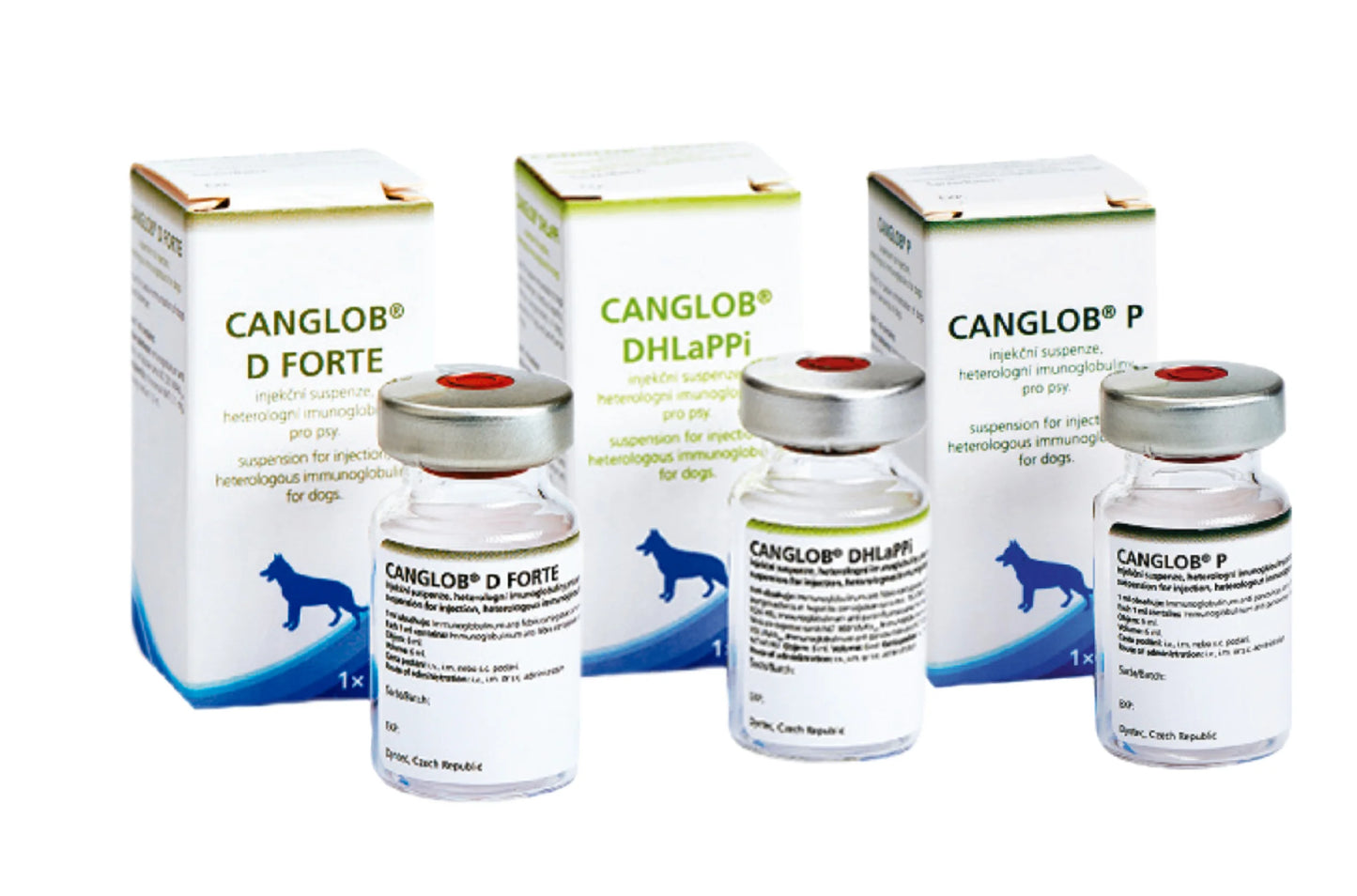CANGLOB-1.webp