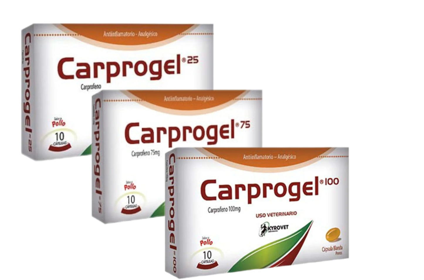 CARPROGEL.webp