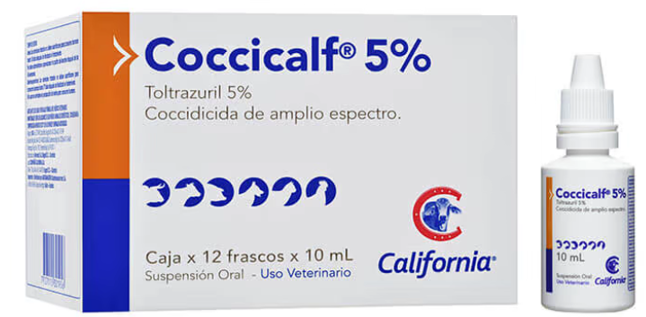 Captura-de-pantalla-2024-11-01-111922.png