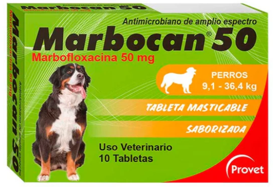 Captura-de-pantalla-2024-11-02-115023.png