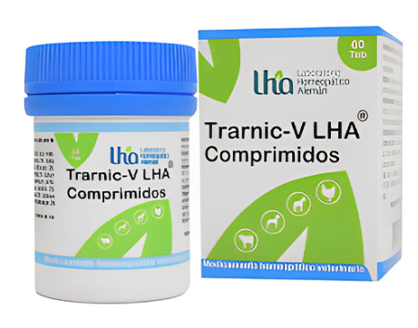 Captura-de-pantalla-2024-12-02-145921.png