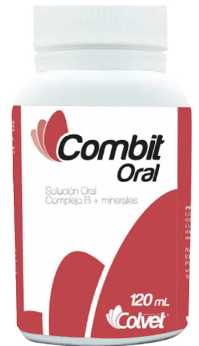 Captura-de-pantalla-2024-12-05-141432.png