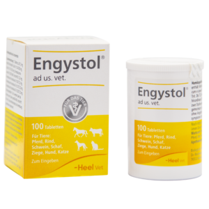 Engystol_Tabletas_Heel_Agrovet-300x3001-1.png
