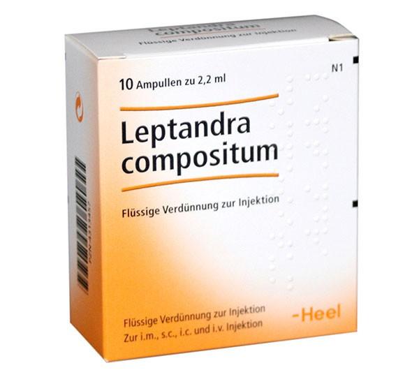 LEPTANDRA-COMPOSITUM-AMP..jpeg