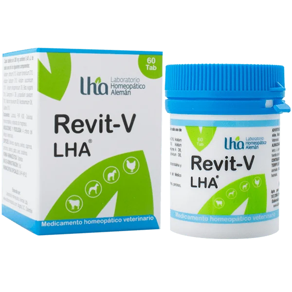 Revit-V-Comprimido-LHA.png1_.webp