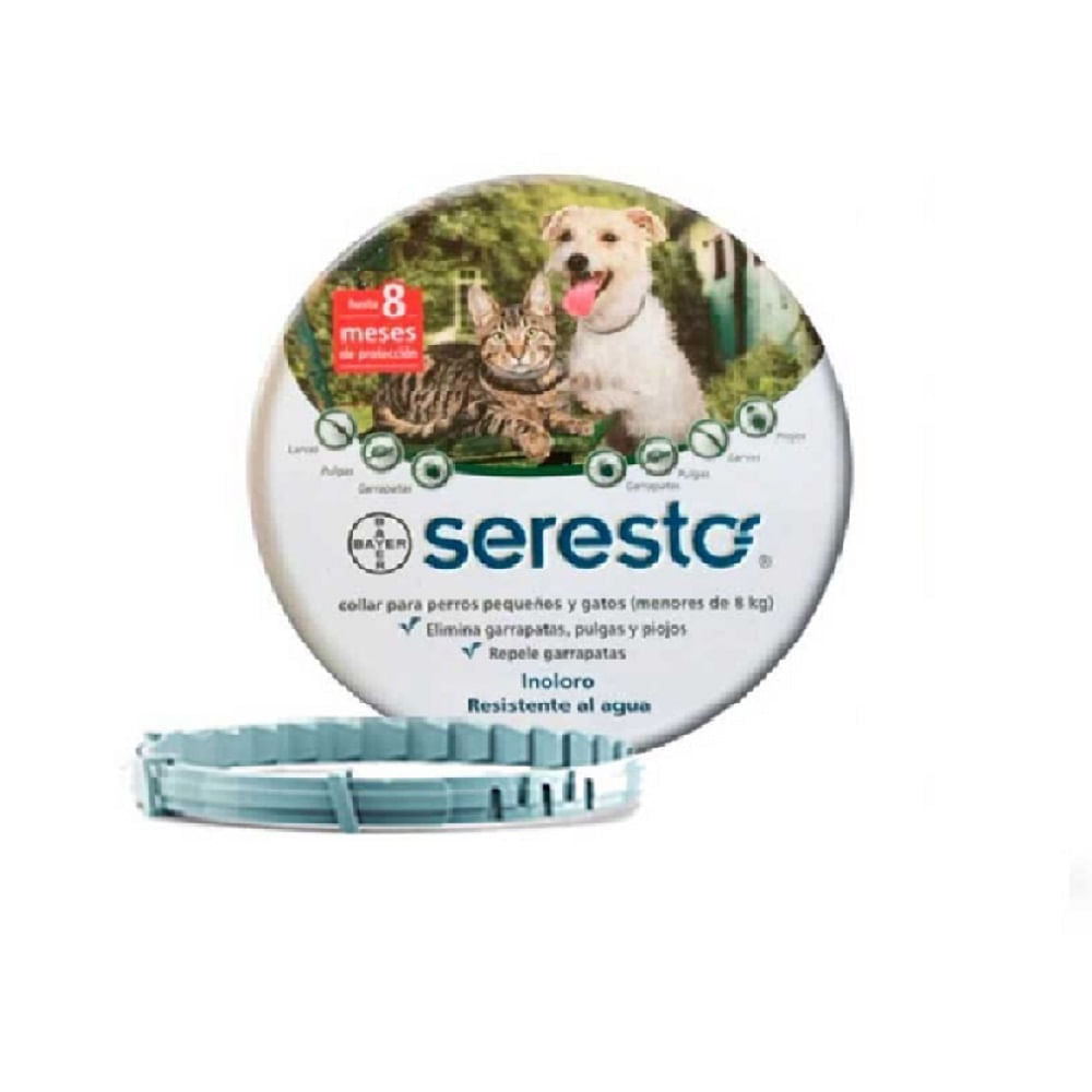 SERESTO-COLLAR-PERROS-Y-GATOS-HASTA-8-KG0D0A.jpg