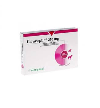 clavaseptin-1.png