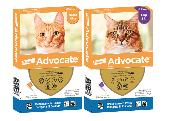 ADVOCATE20CATS1.png