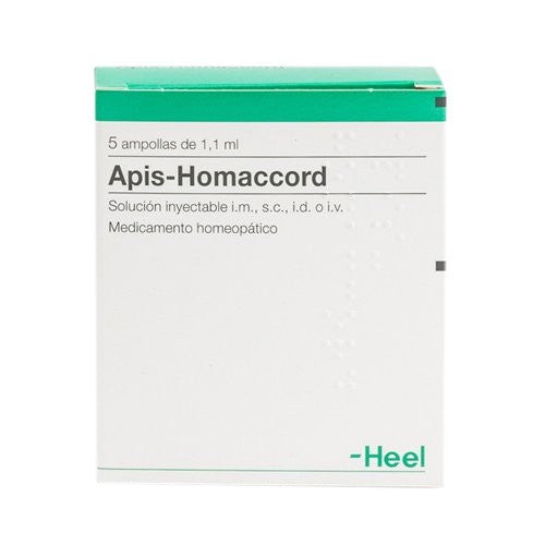 APIS-HOMACCORD-AMP..jpg