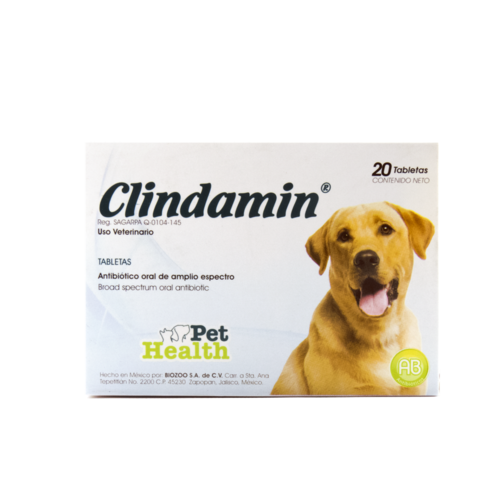 BZ0410CLINDAMIN20Tabletas_500x.png