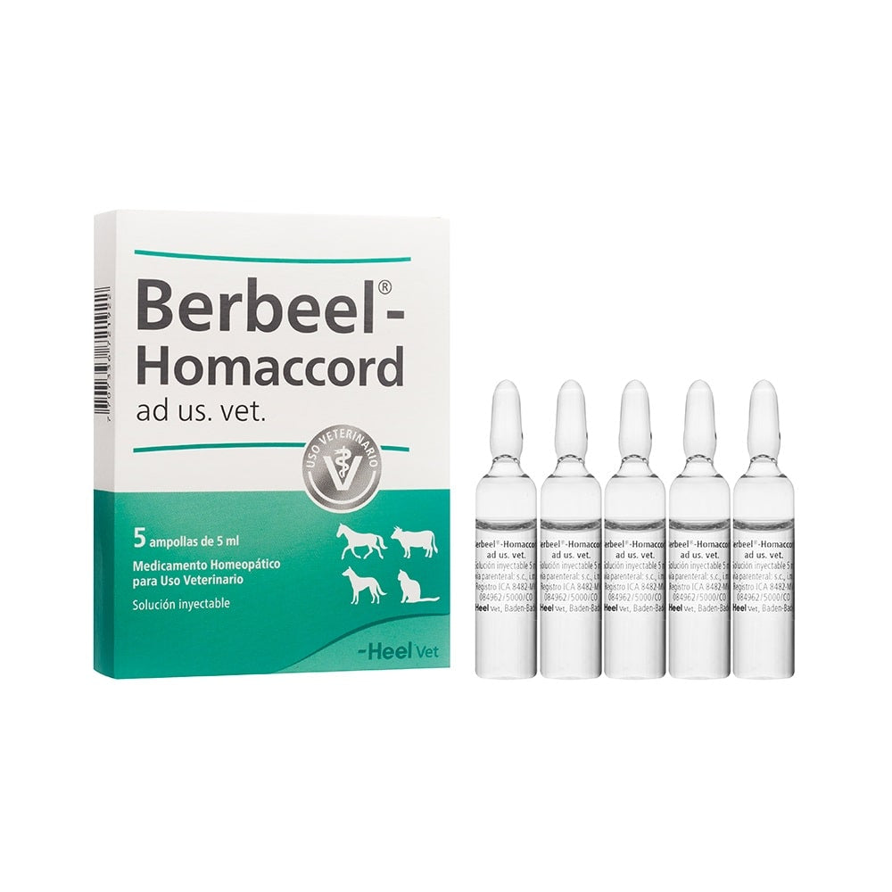 Berbeel-Ampollas.jpg