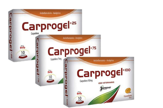 CARPROGEL.webp