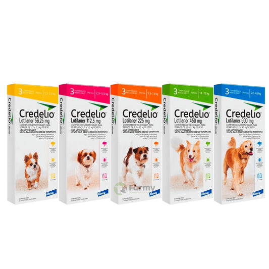 CREDELIO-PERROS.jpg