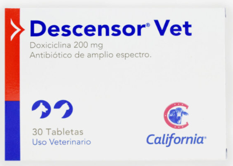 Captura-de-pantalla-2024-11-14-130840.png