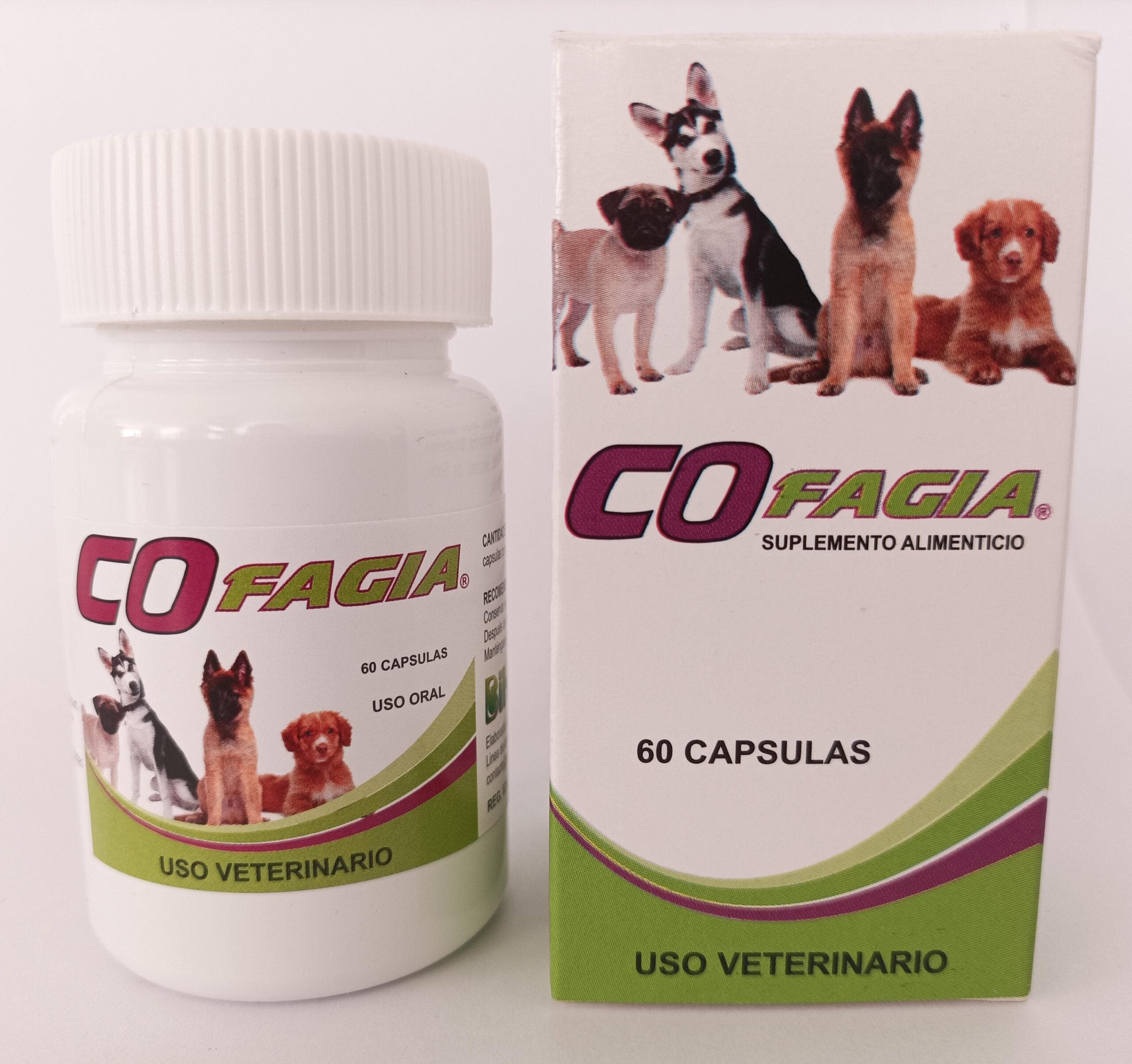 CoFagia-scaled.jpeg