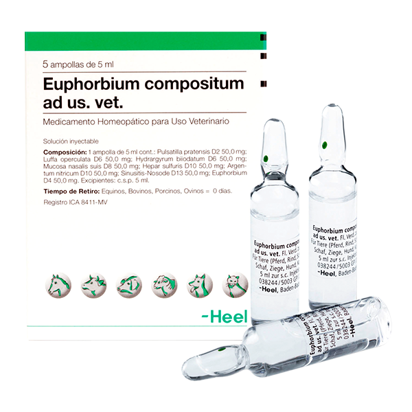 EUPHORBIUM-AD-US-VET-AMP.png
