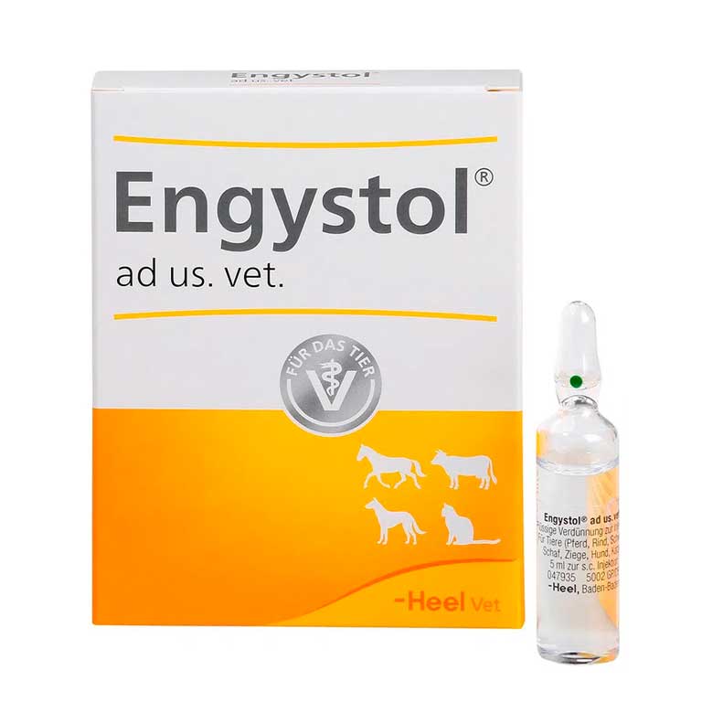 Engystol-Amp-Completa1.jpg
