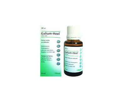 GALIUM-heel.png