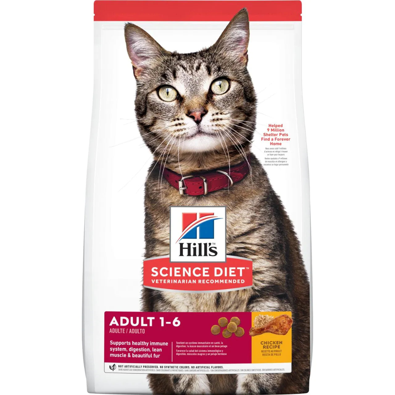Hills%E2%84%A2-Science-Diet%E2%84%A2-Adult-gatos.webp