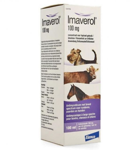 IMAVEROL1.jpg