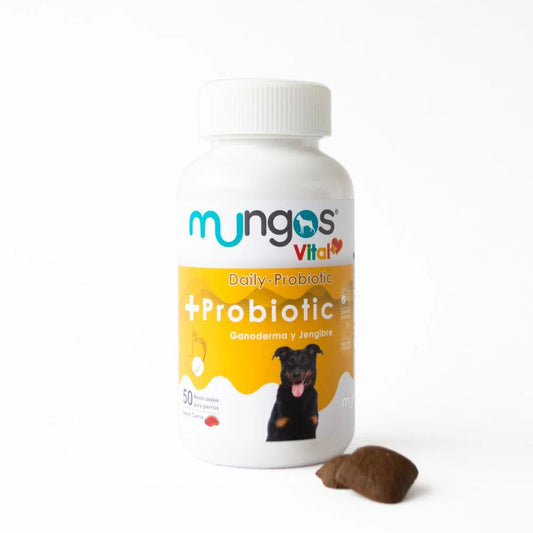 Mungos-Probiotics-Probioticos-suplementos-perros-21.webp