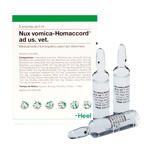 NUX-VOMICA-HOMACCORD-AD-US-VET-AMP.png