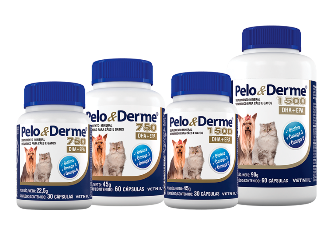 Pelo-y-derme.png