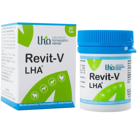Revit-V-Comprimido-LHA.png1_.webp
