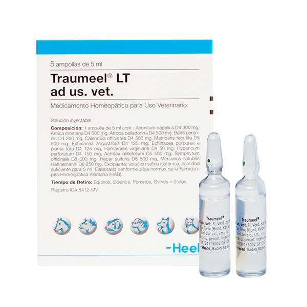TRAUMEEL-AD-US-VET-AMP.png