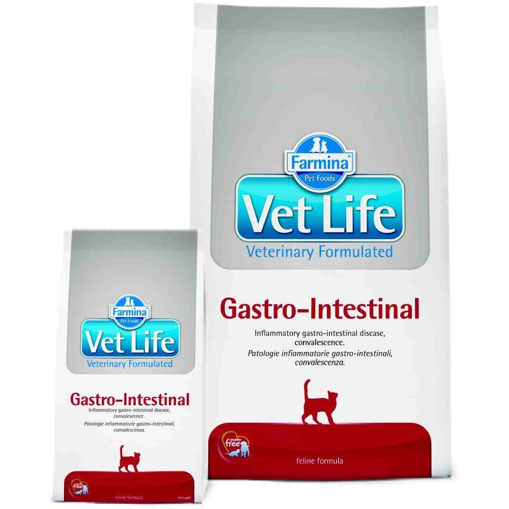 Vet-Life-feline-Gastro-Intestinal.jpg