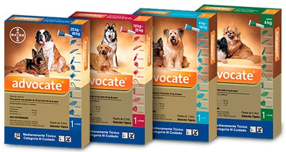 bayer-advocate-perros.jpg