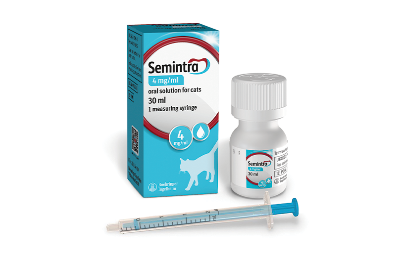 Semintra 4 mg/ml Solución Oral para Gatos | Tratamiento de la Enfermedad Renal Crónica
