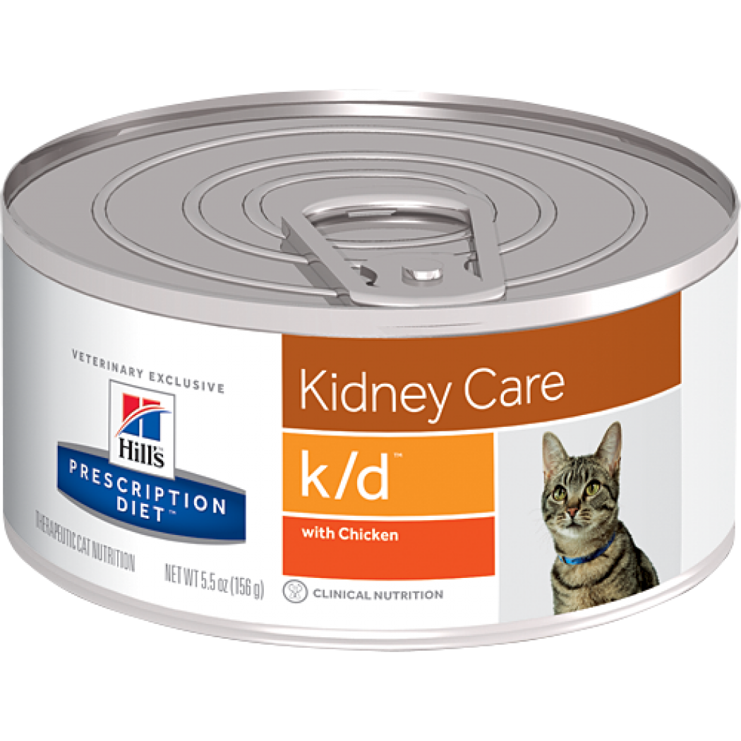 kd-gato.png