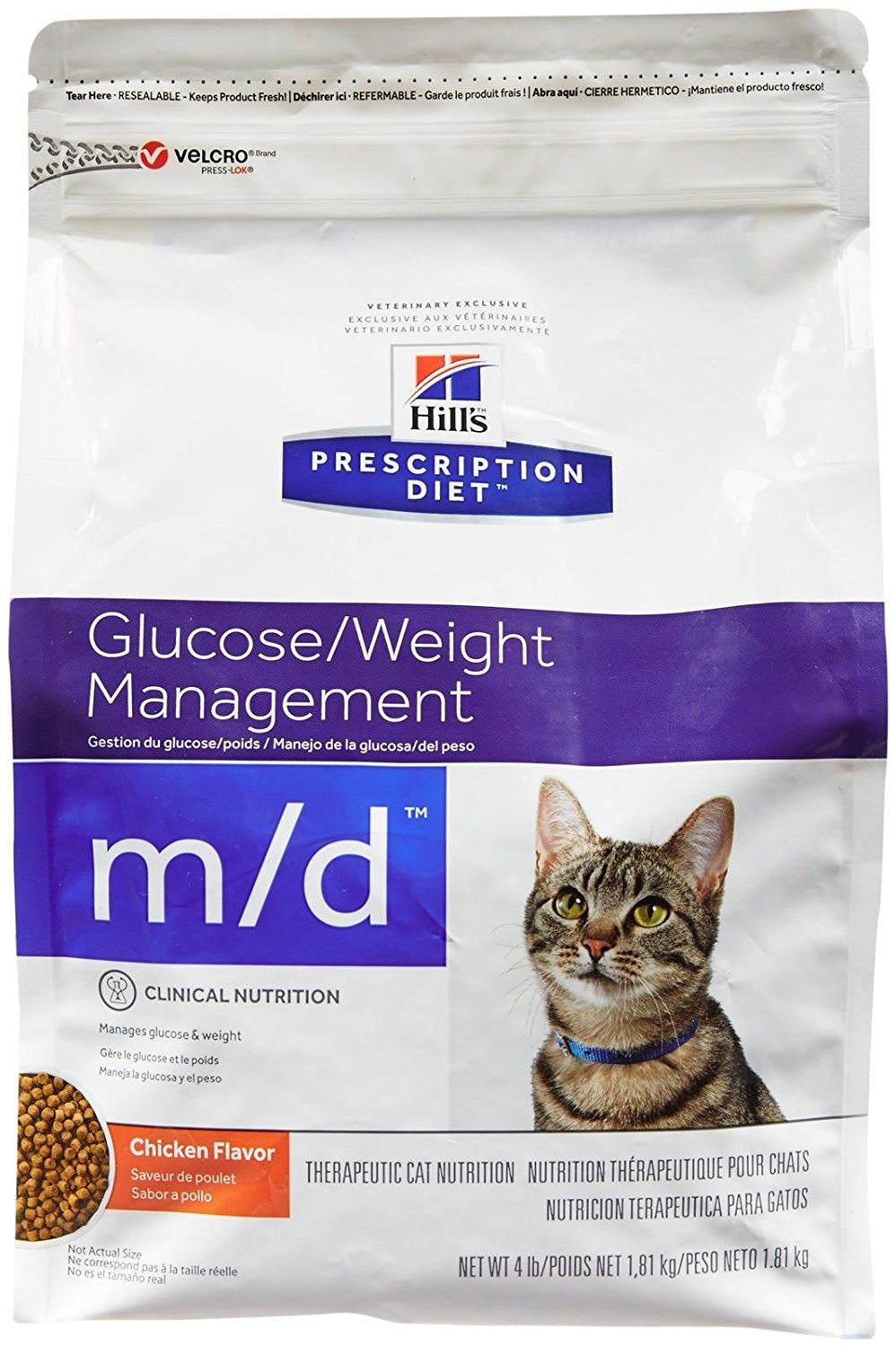 md-feline-1.jpg