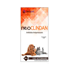 neoclindan_.png