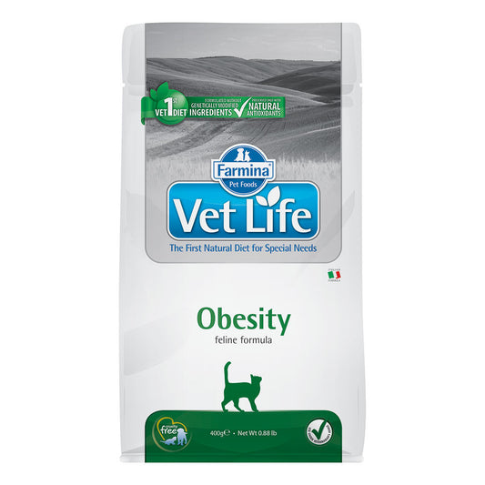vet-life-feline-obesity.jpg
