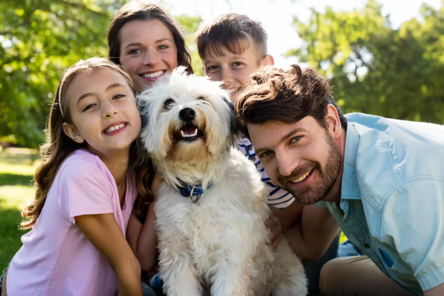 El cuidado de los perros: Guía completa para tener un perro feliz!